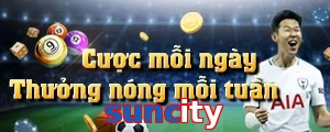 suncity